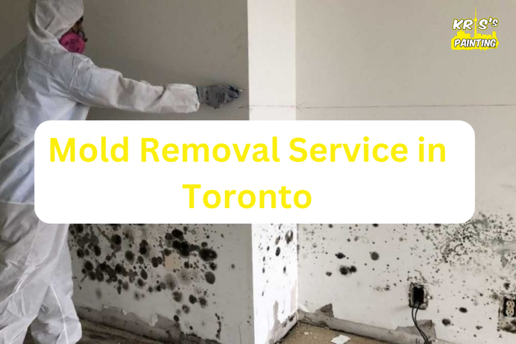 Mold Removal Service in Toronto